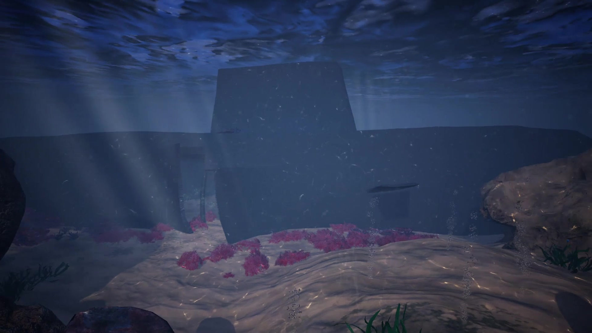 VR Underwater Experience